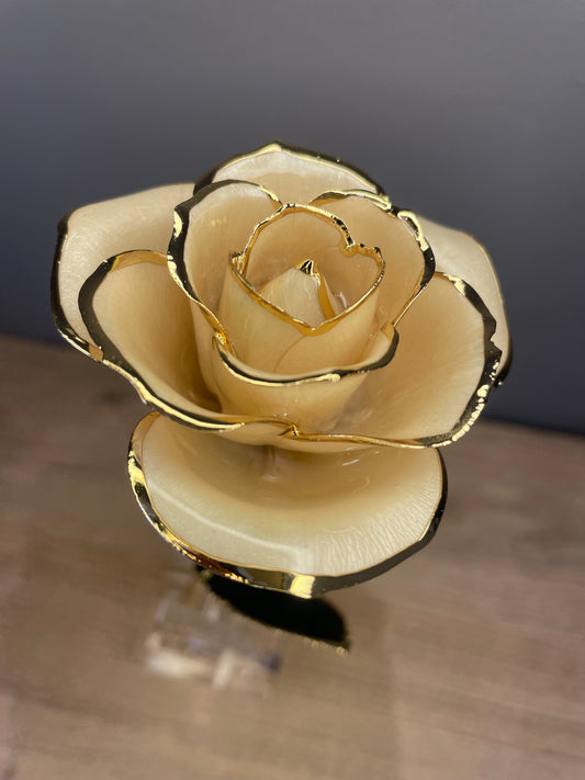 24K Gold Plated Everlasting White Rose