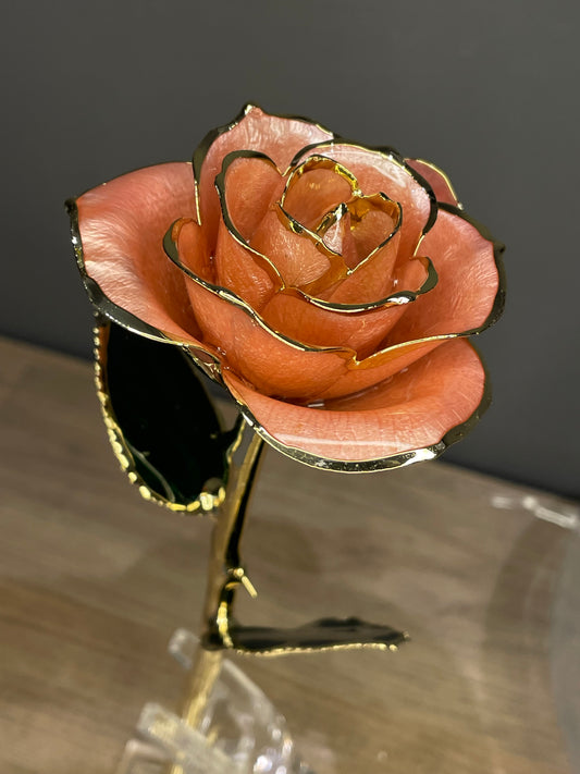 24K Gold Plated Everlasting Light Pink Rose