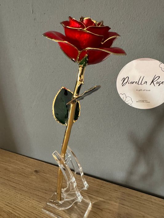 24K Gold Plated Everlasting Red Rose