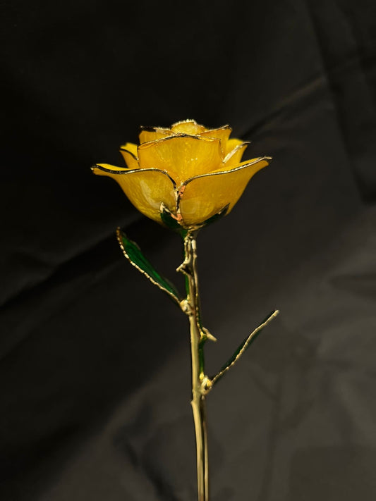 24K Gold Plated Everlasting Yellow Rose