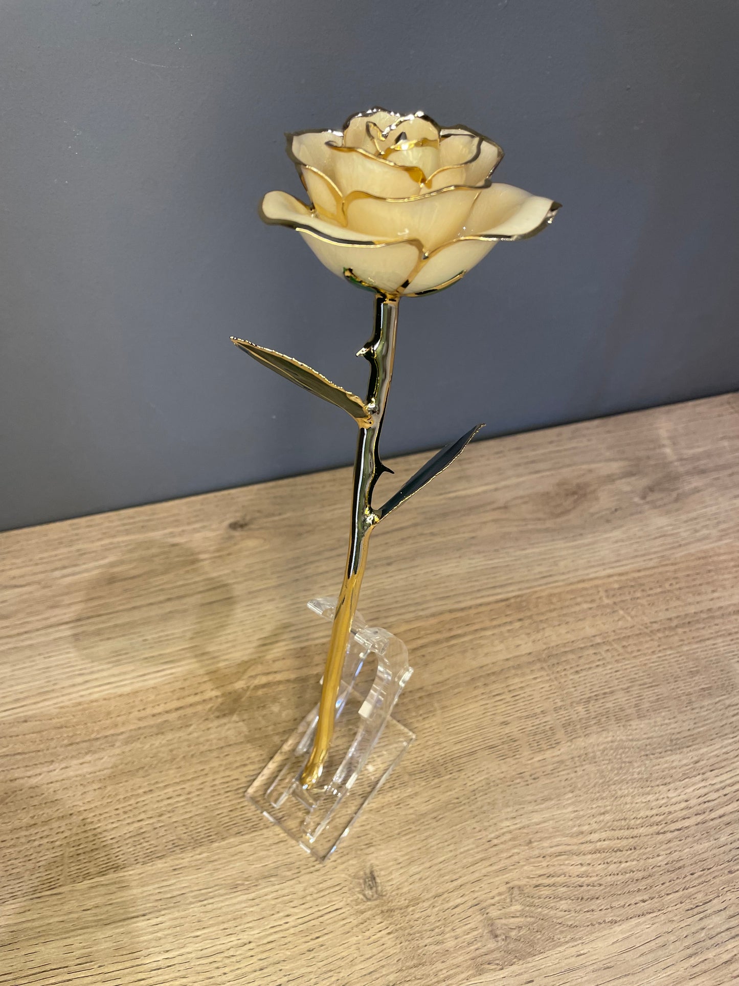 24K Gold Plated Everlasting White Rose