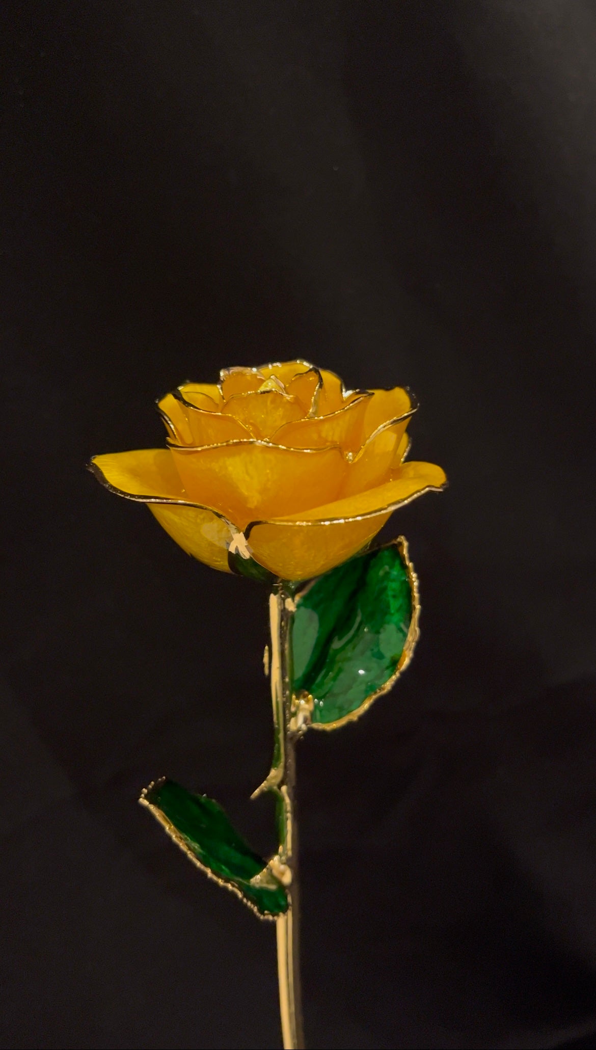 24K Gold Plated Everlasting Yellow Rose