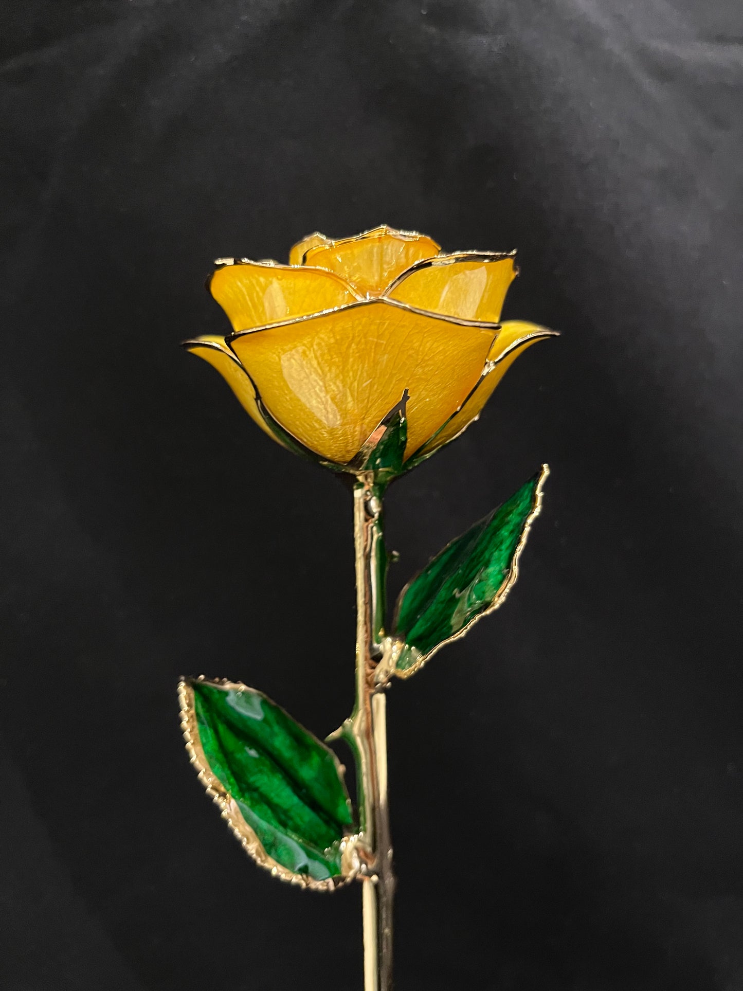 24K Gold Plated Everlasting Yellow Rose