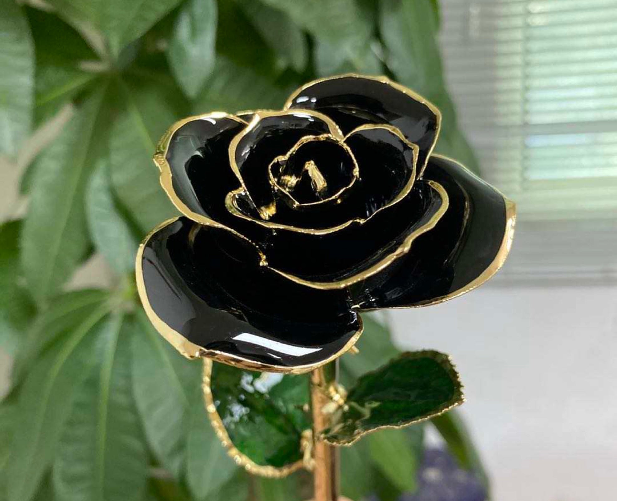 Anniversary/Wedding/Birthday Gift - 6.0 Inch 24K Gold Dipped Real popular Rose in a Obsidian Black Egyptian Casket w/WINDOW