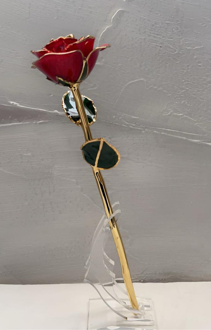 24K Gold Plated Everlasting Red Rose