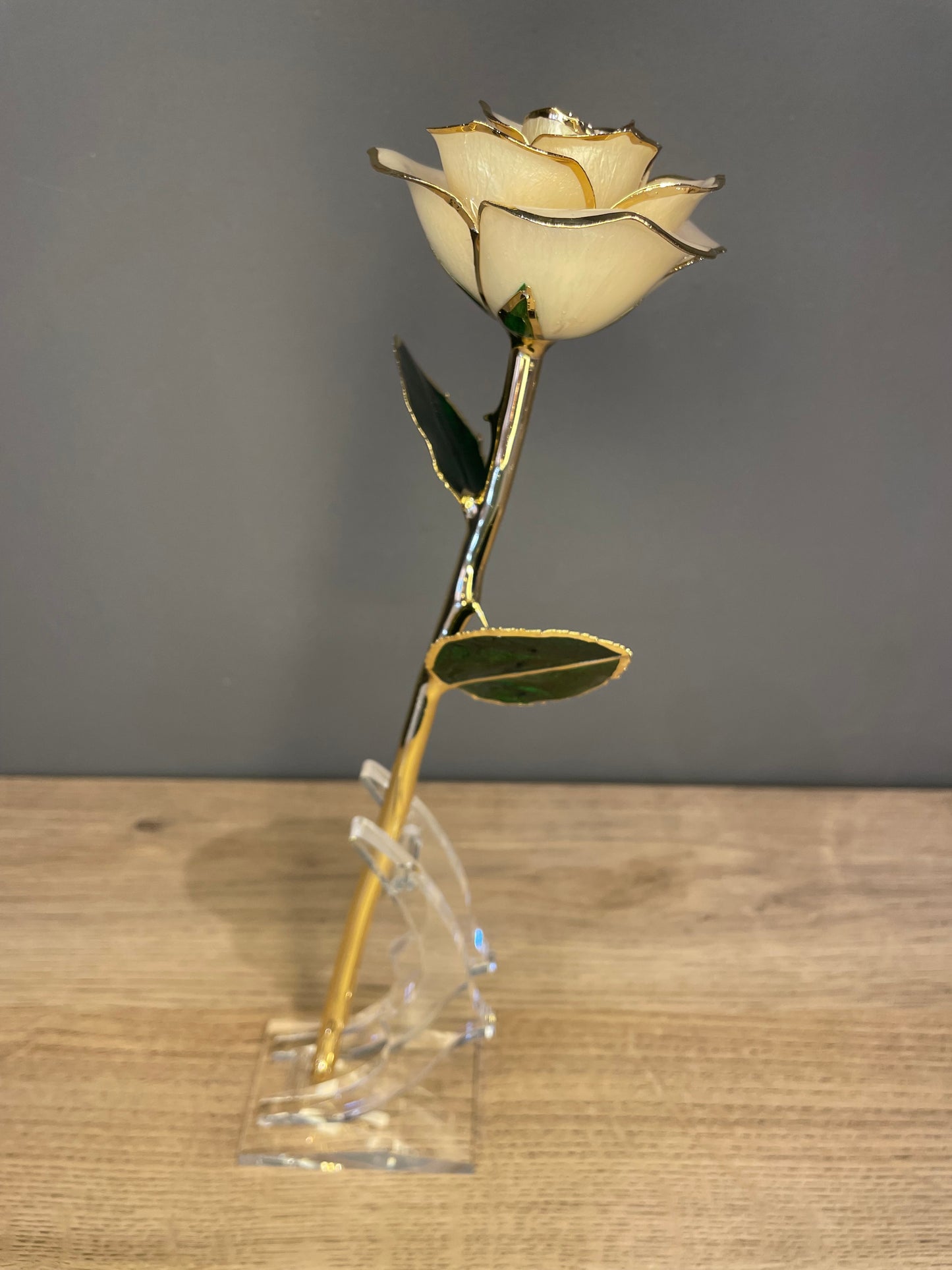 24K Gold Plated Everlasting White Rose