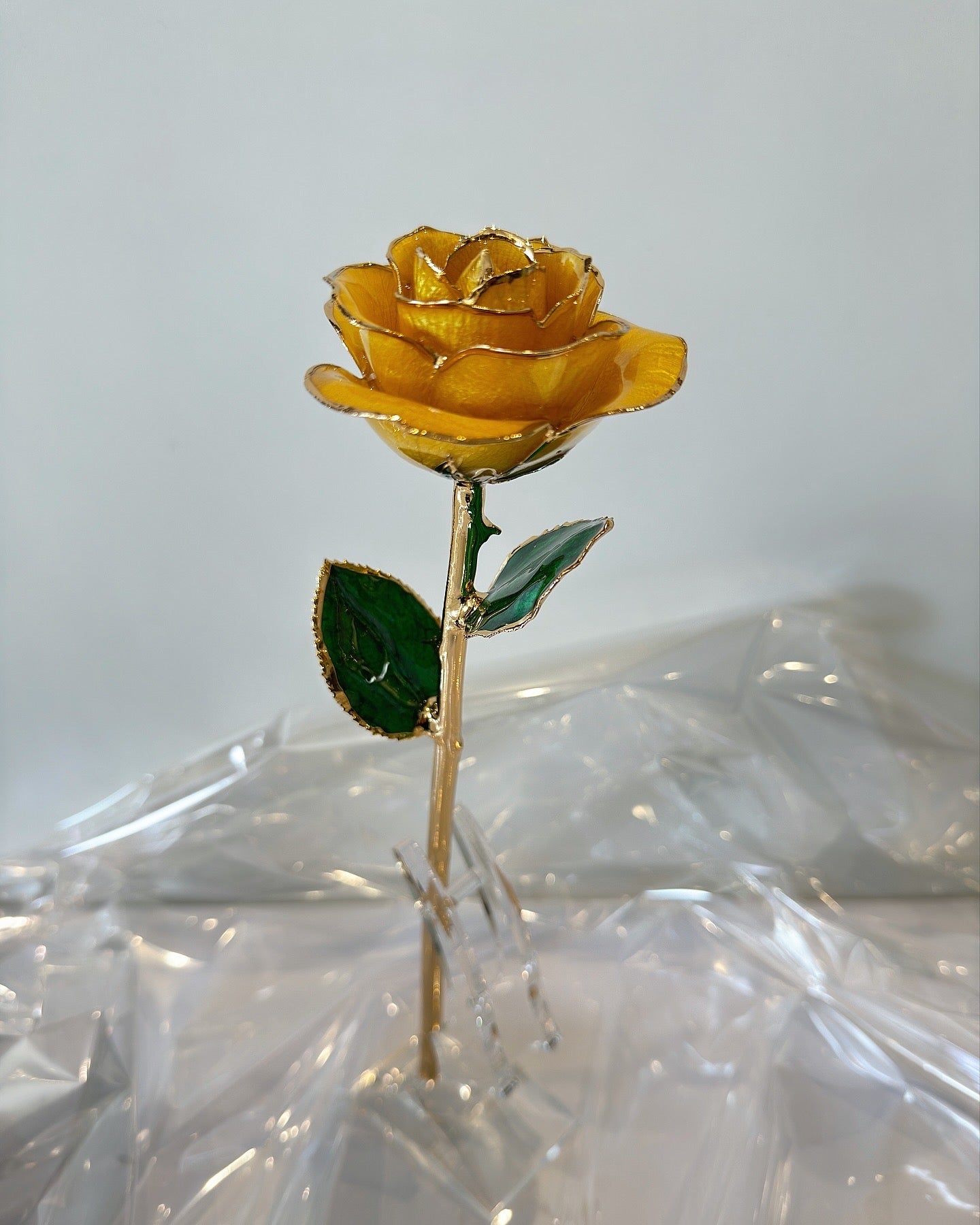 24K Gold Plated Everlasting Yellow Rose