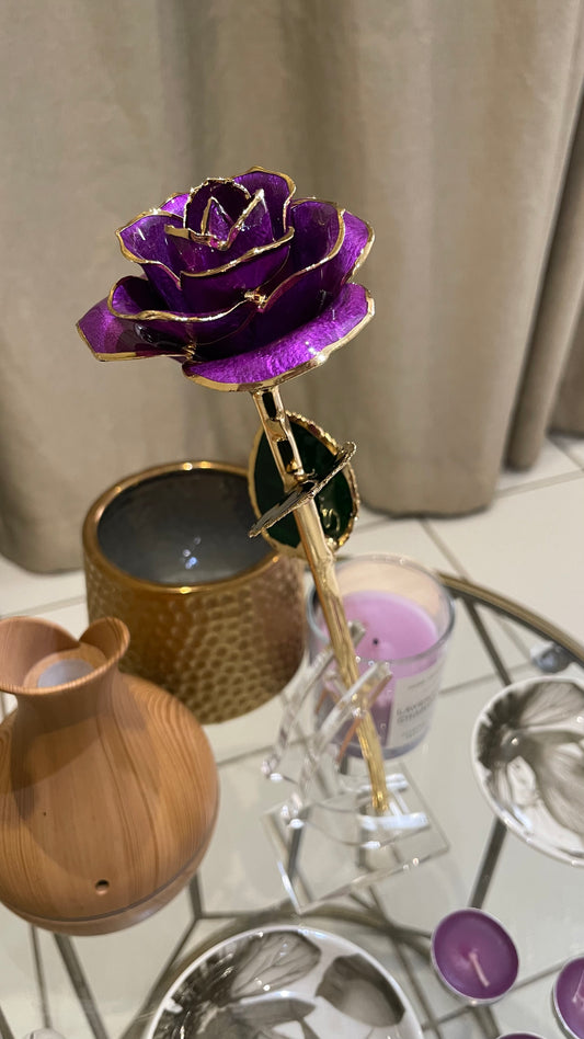 24K Gold Plated Everlasting Purple Rose