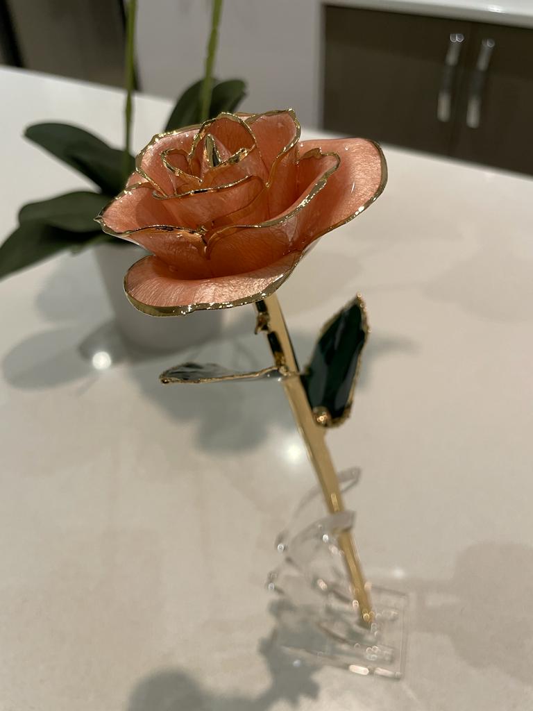 24K Gold Plated Everlasting Light Pink Rose