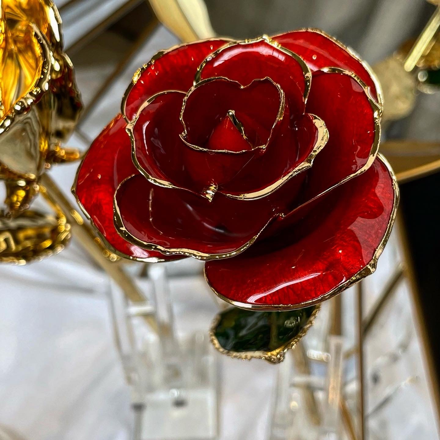 24K Gold Plated Everlasting Red Rose