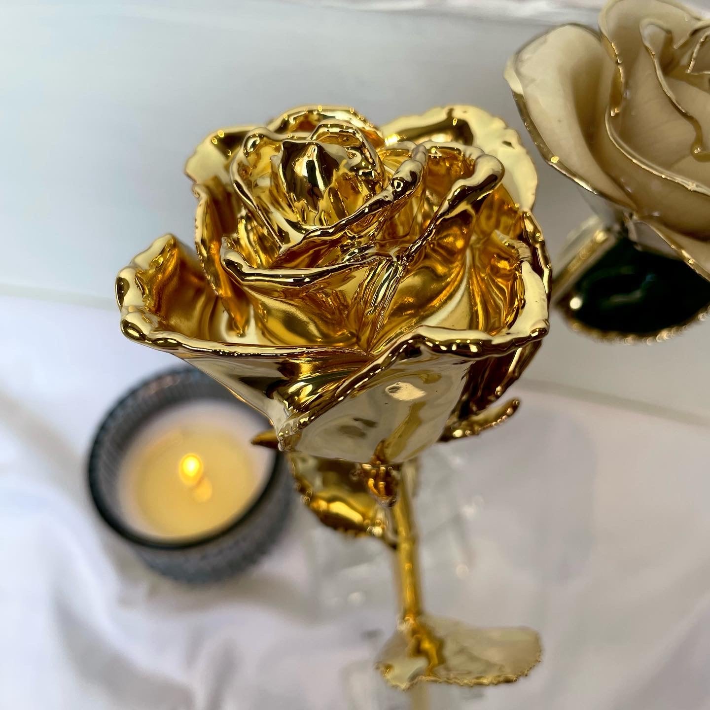 Gold dipped rose yellow 24k