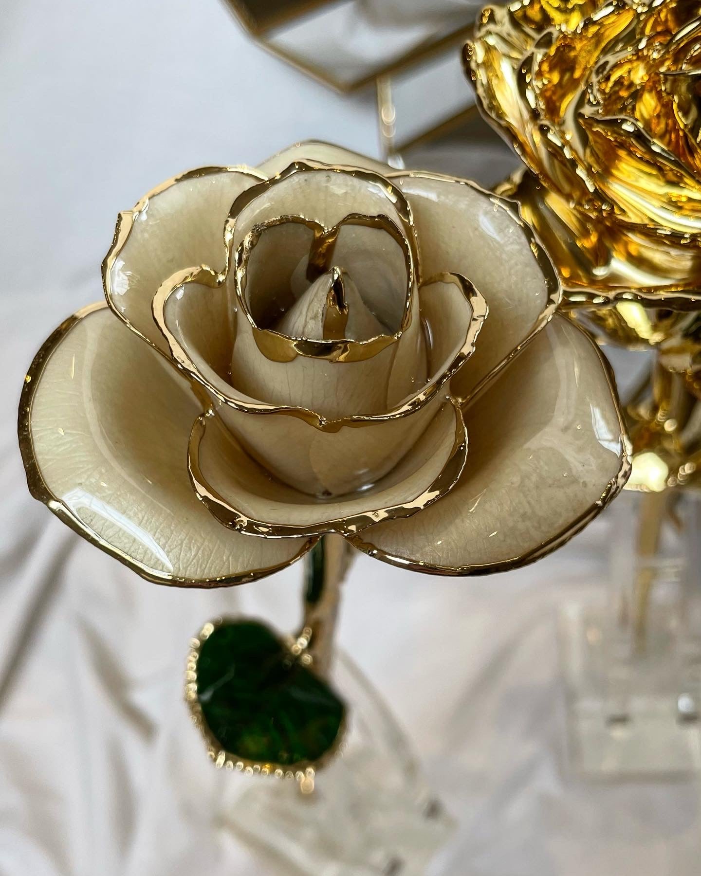 24K Gold Plated Everlasting White Rose