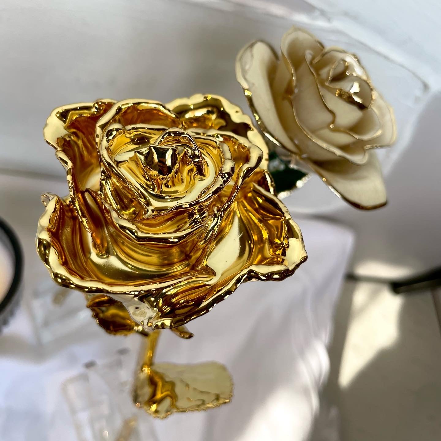 24K Gold Dipped Everlasting Rose