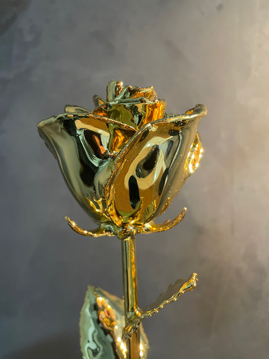24K Gold Dipped Everlasting Rose